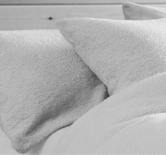 Tedy  pillow case piar