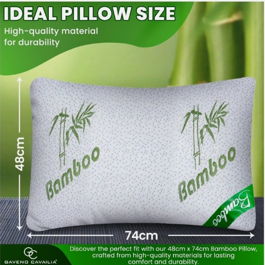 LUXURY PAIR OF BAMBOO ANTI-BACTERIAL ANTI-ALLERGY NECK BACK SUPPORT BED PILLOWS  Planet Bemuzed (98289) Bu